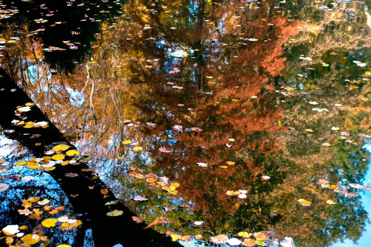 The colors of autumn 2