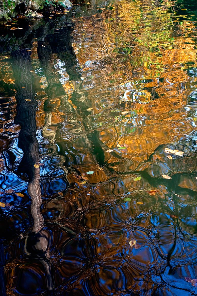 Autumn Reflections