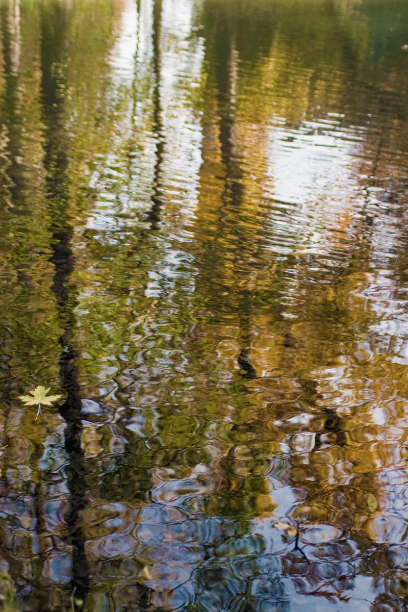 Autumn reflections 2