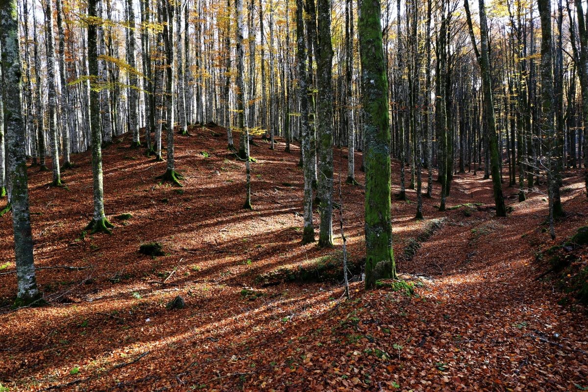 Dentro...silenzio assoluto