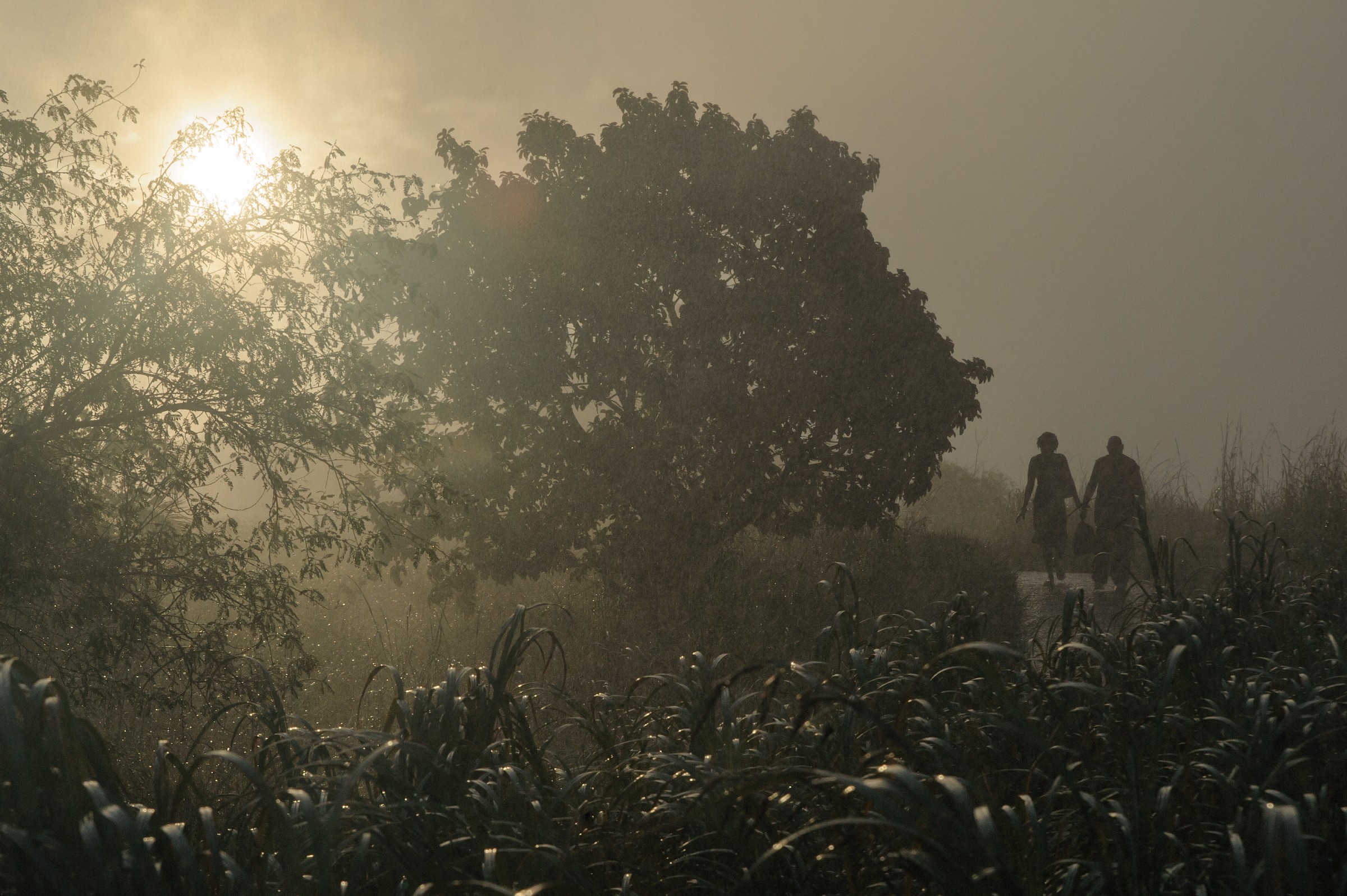 Quasi dentro le Cascate Vittoria