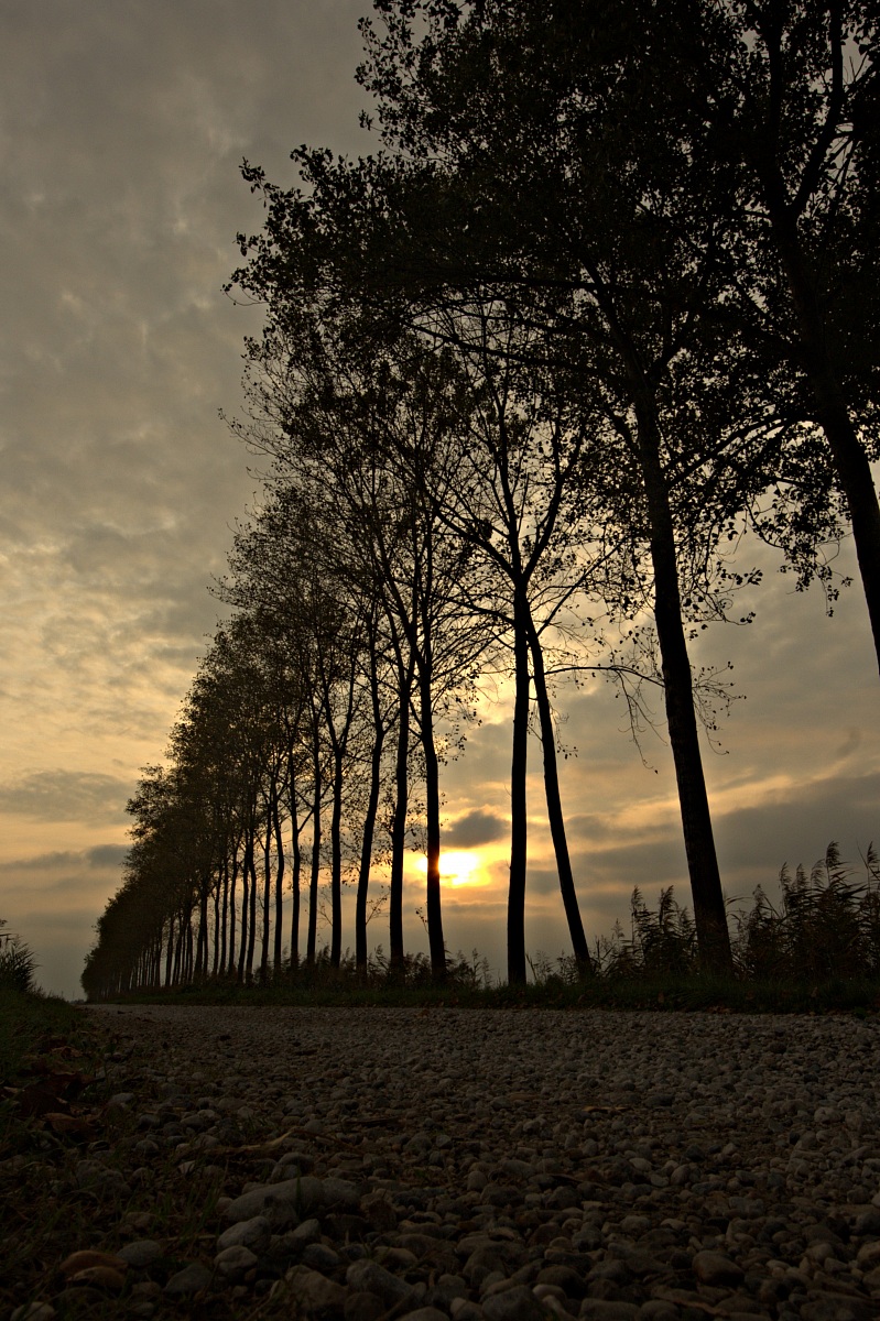 ... Life is a road of stones ...