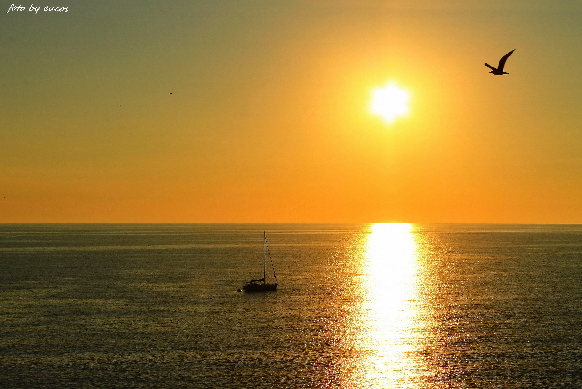 Tramonto a Castiglioncello