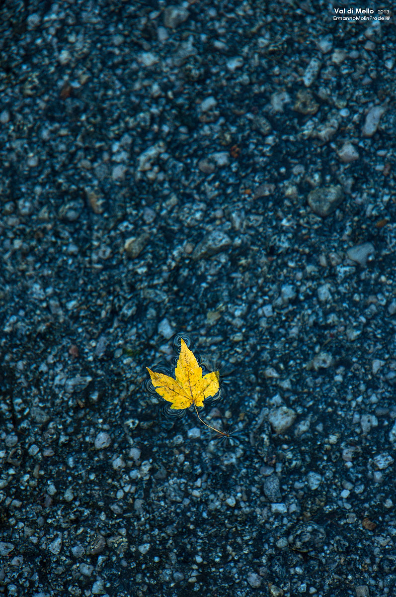 the slow flow of the seasons ..