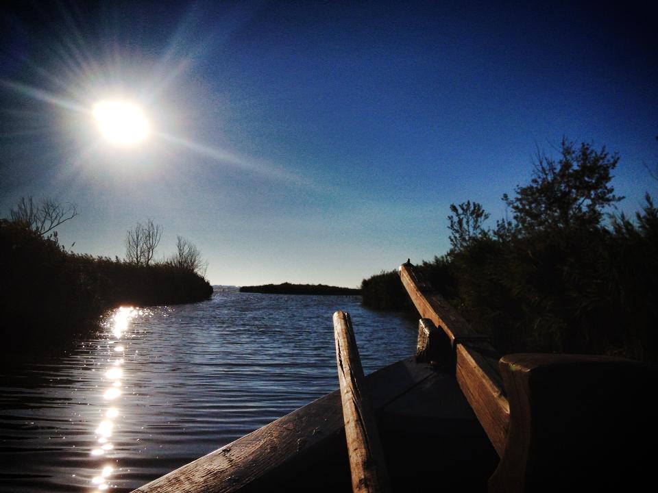 Oasis of Massaciuccoli