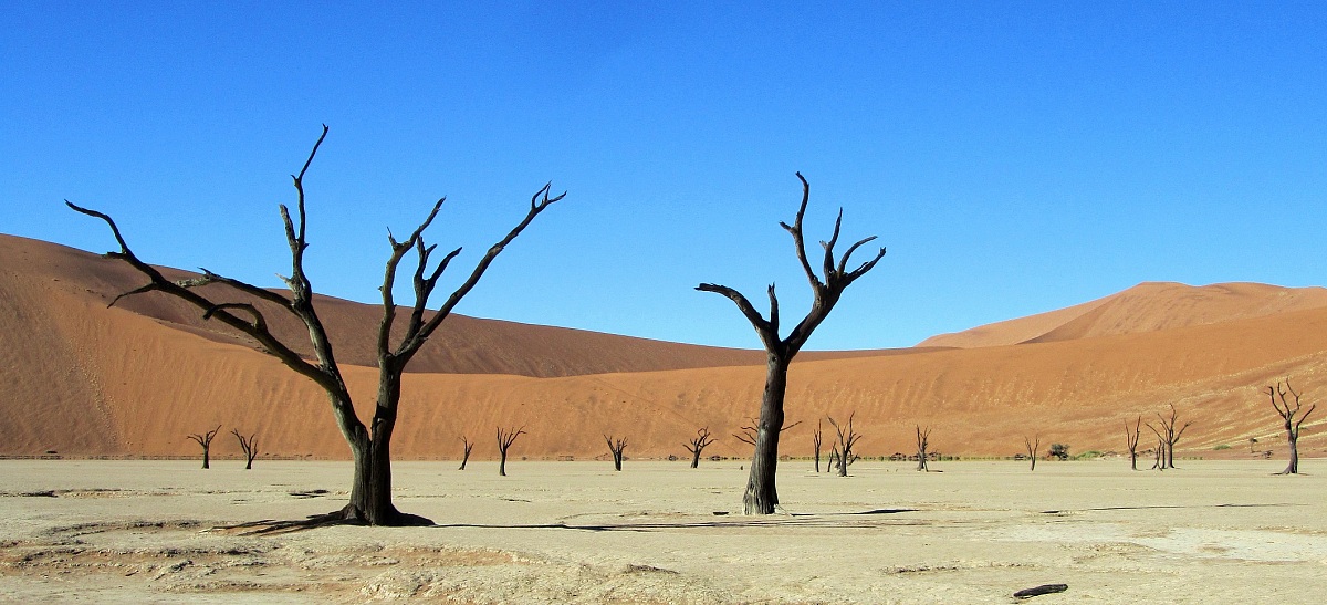 Dead Vlei