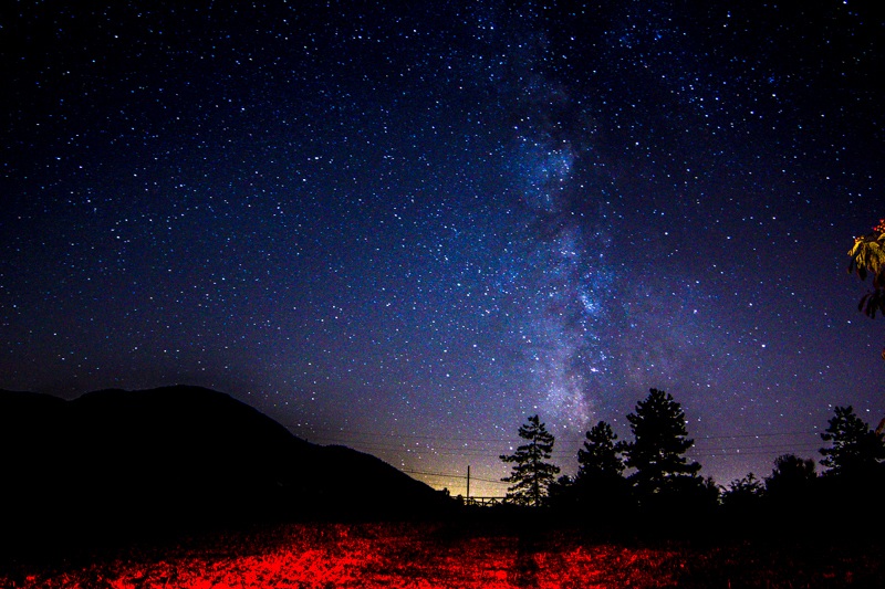 Strange forgetfulness