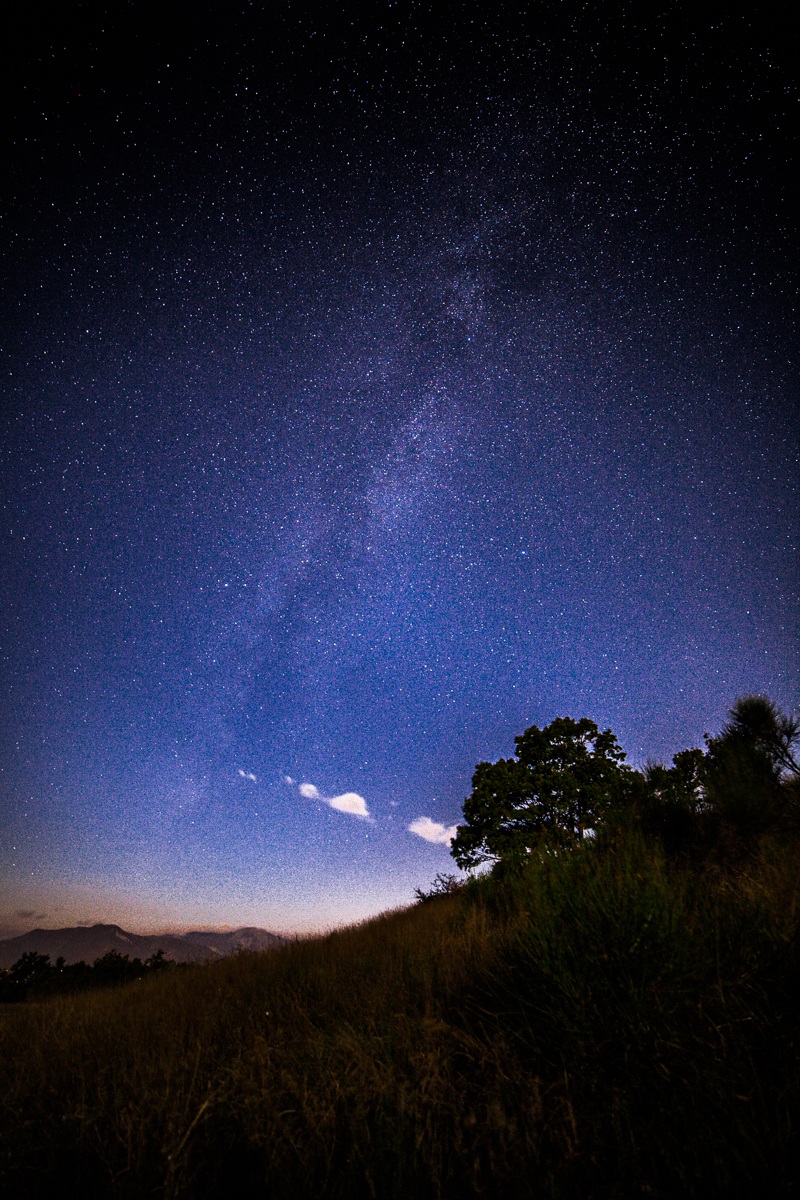 Milky way in the moonlight