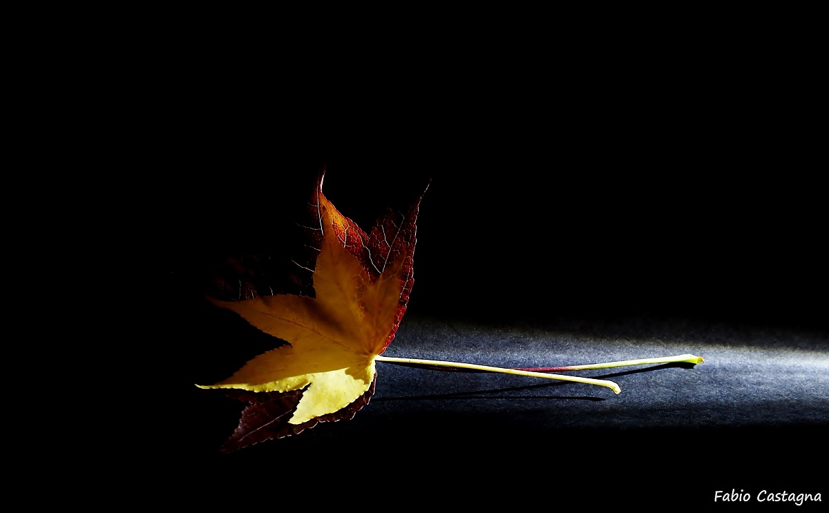 Illuminando l'Autunno