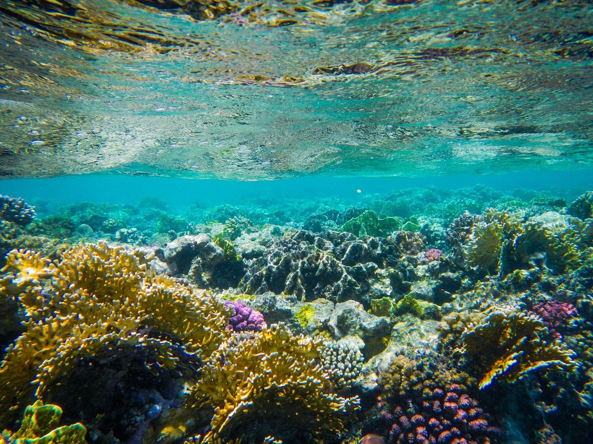 Sotto il livello del Mare