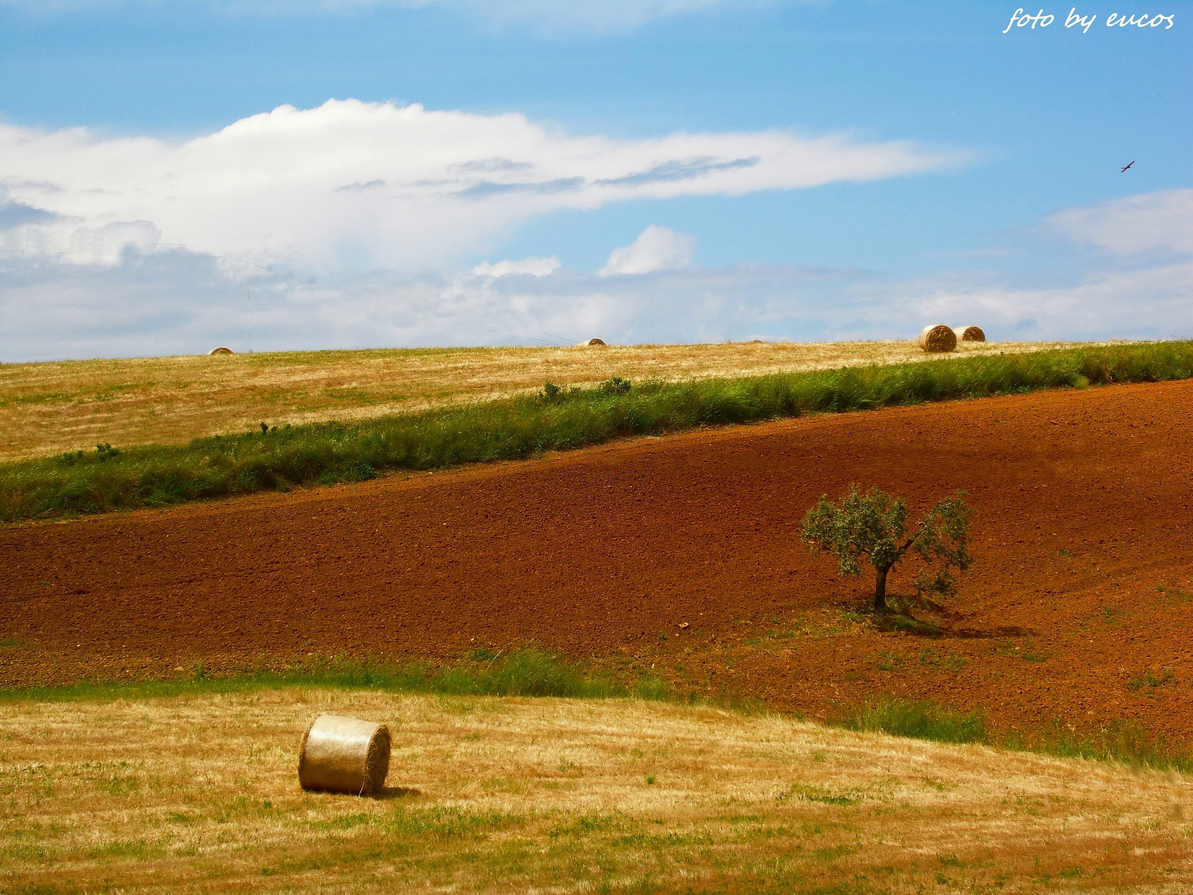 The Tuscan countryside 1