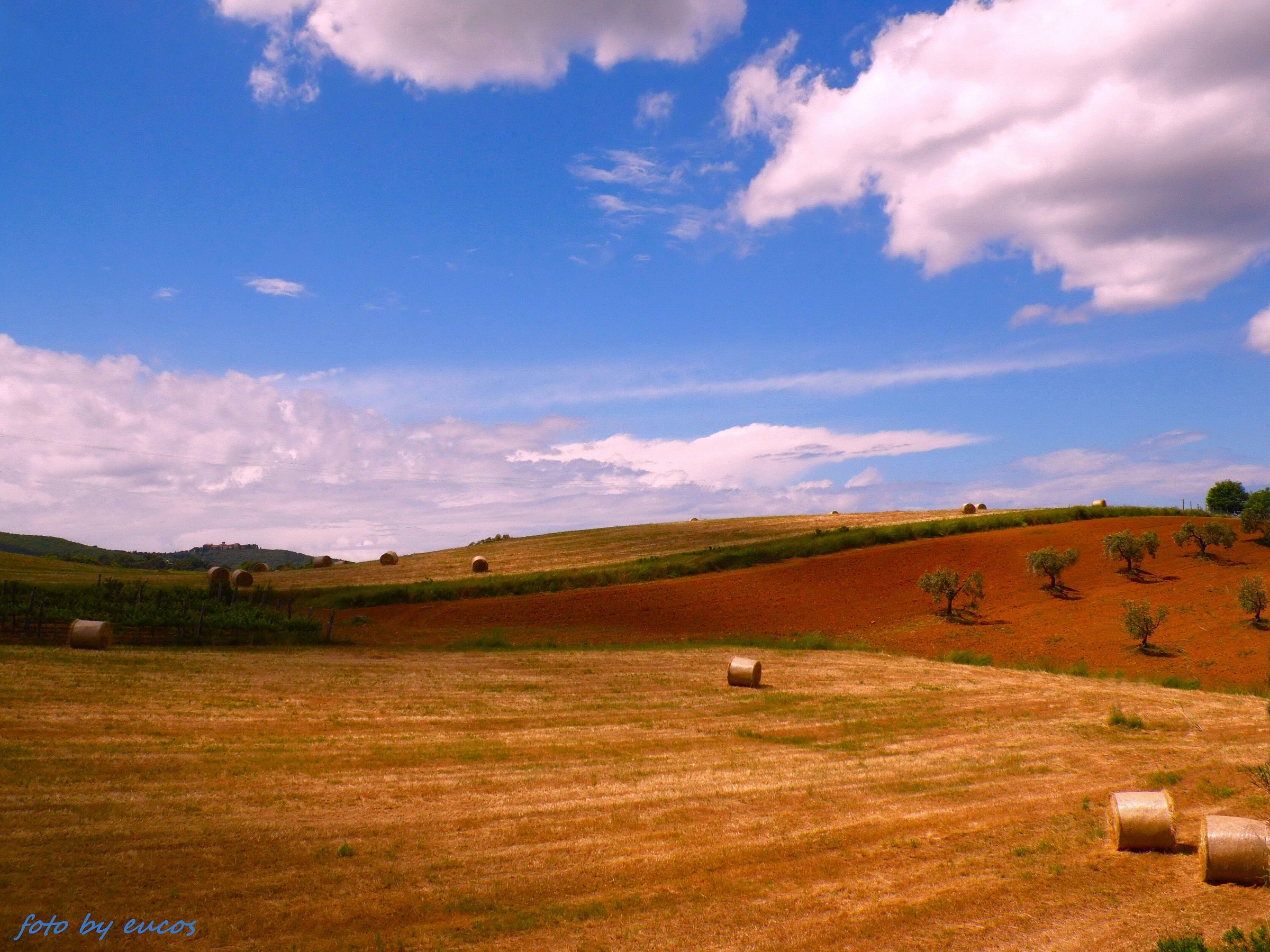 The Tuscan countryside 2