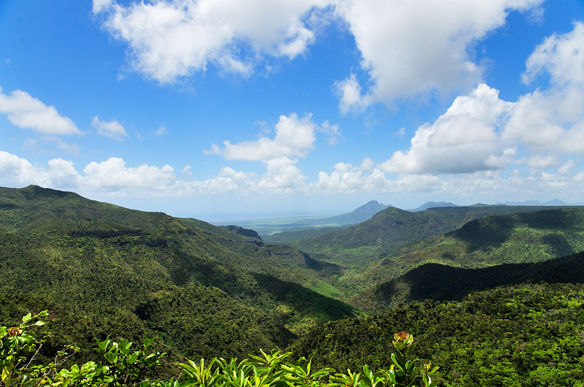 Volcano in Curepipe