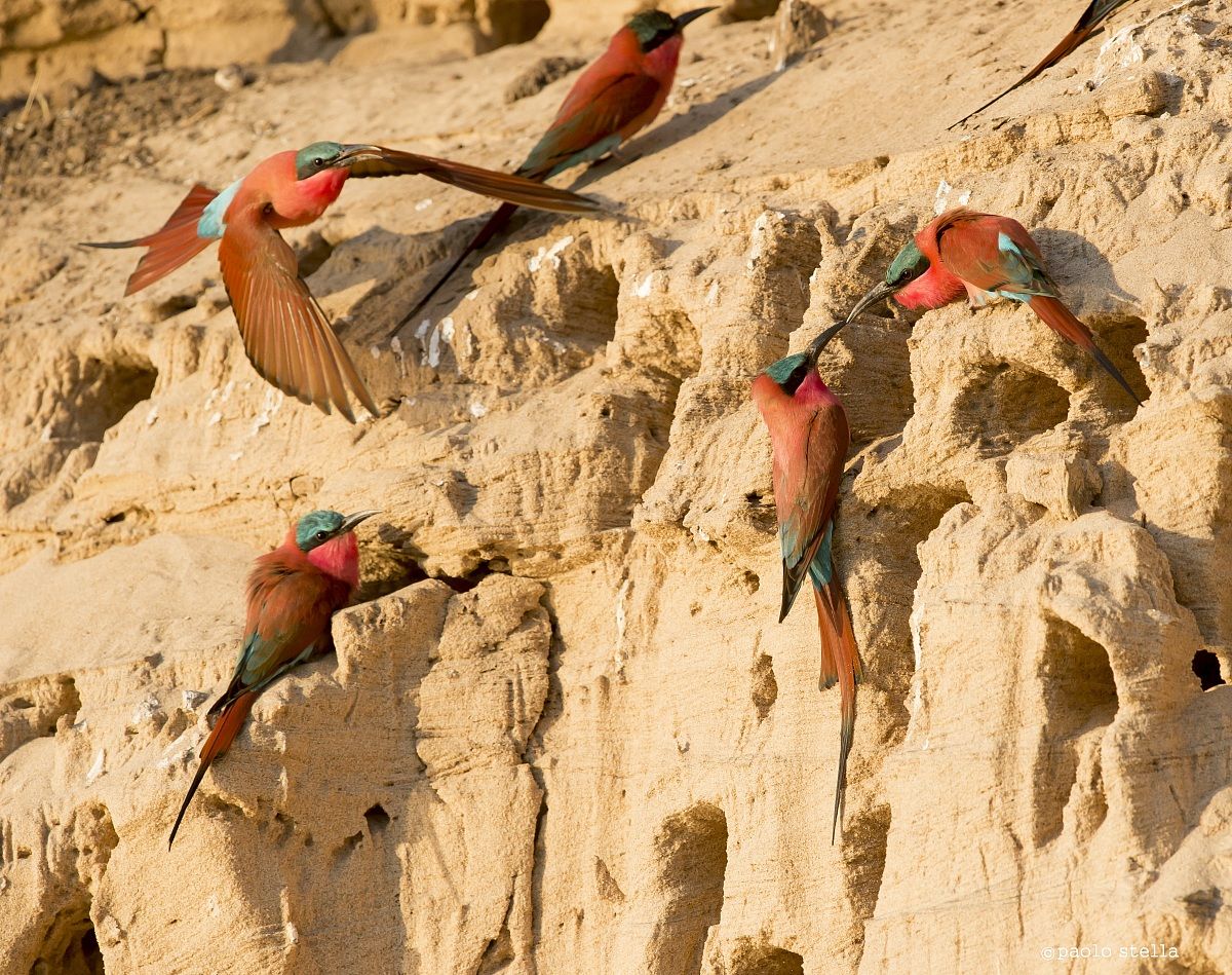 life on the river bank