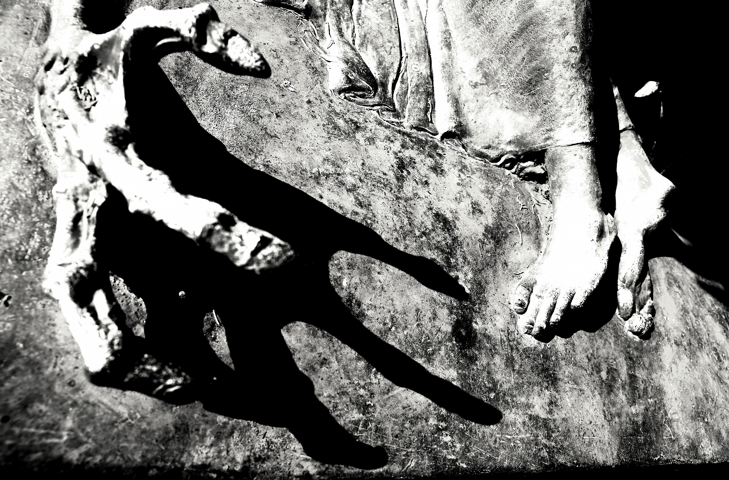 disquieting presence - Verano cemetery