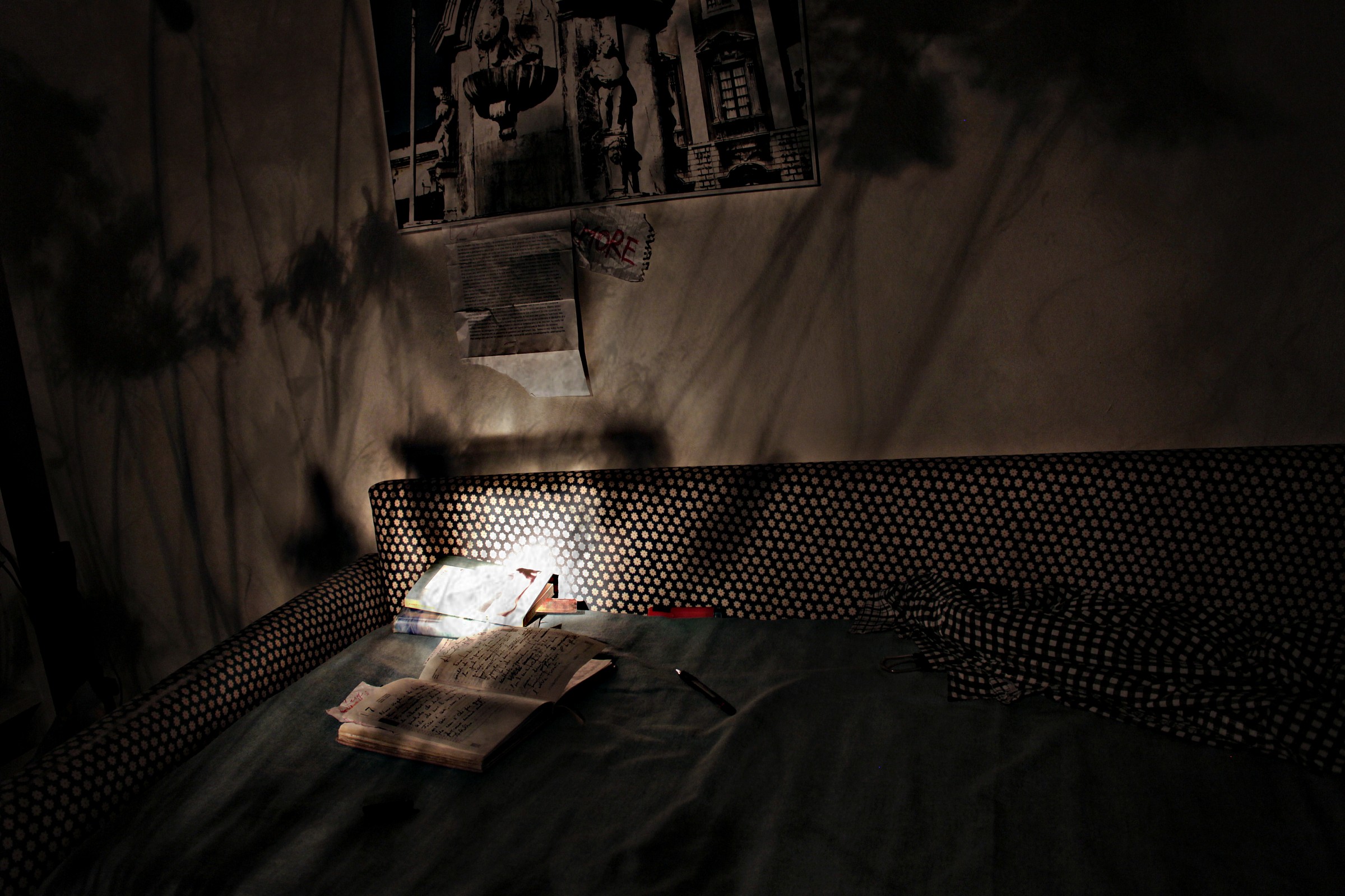 shadows and thoughts of a writer