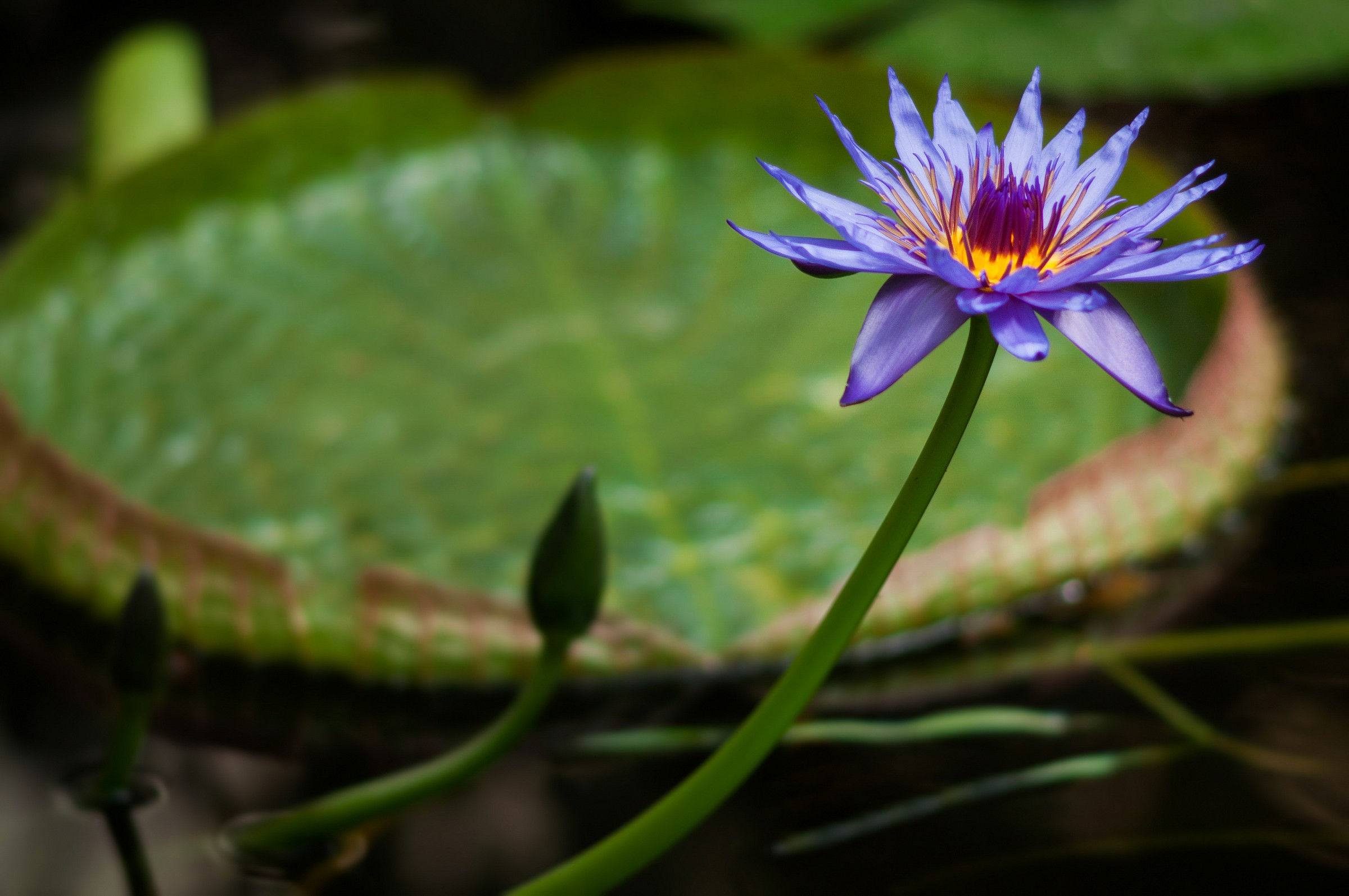 One .. two .. three ..