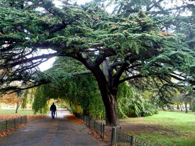 Passeggiando nel parco