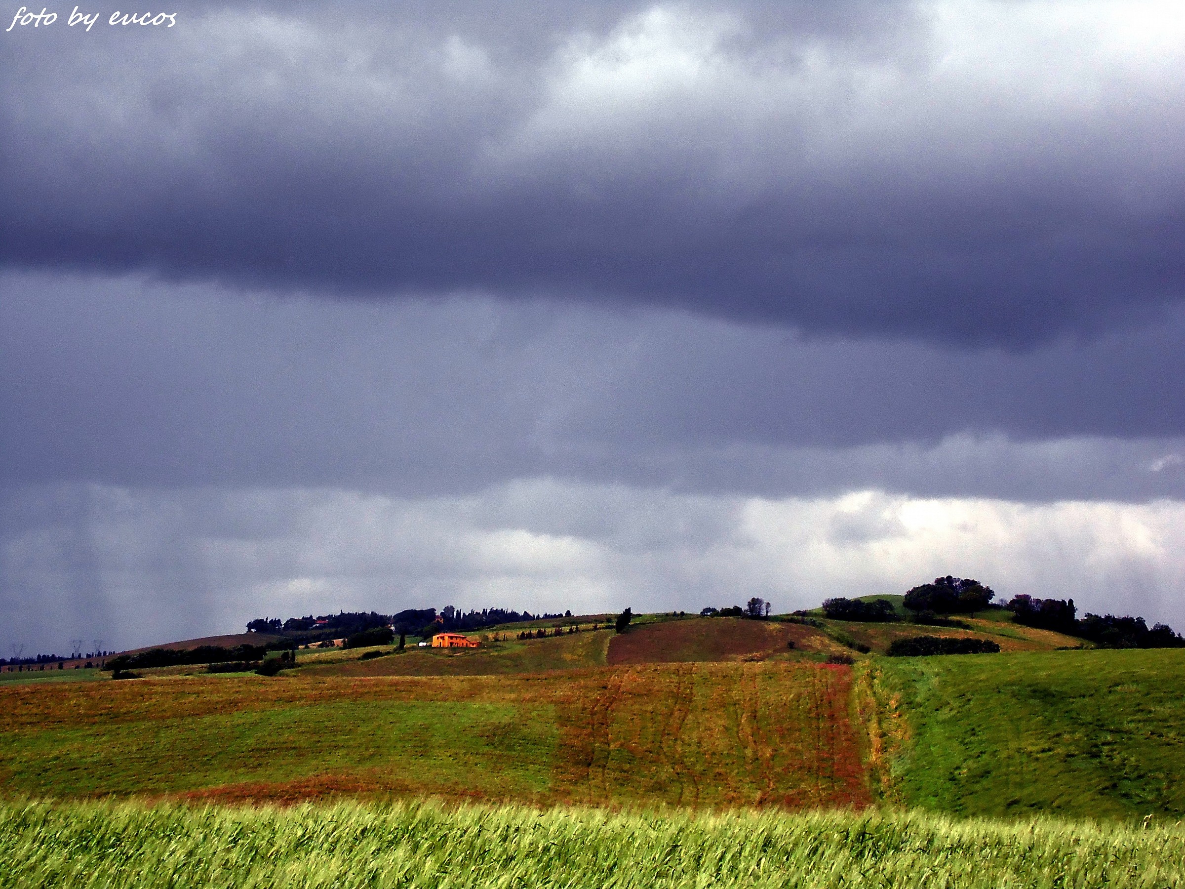 The Tuscan countryside 3