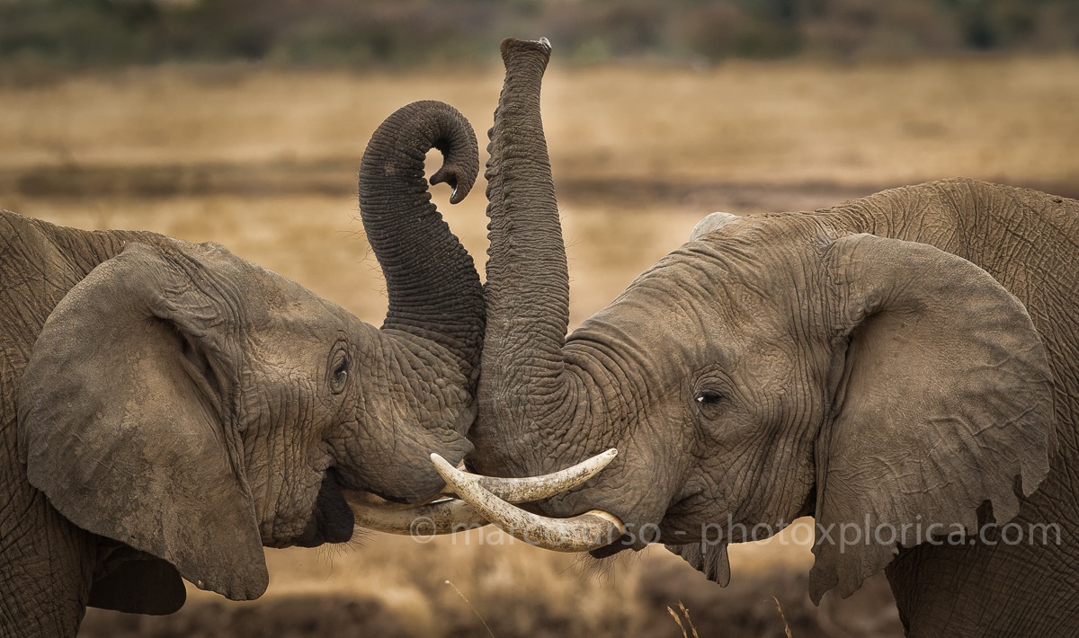 Parlando del più e del meno..