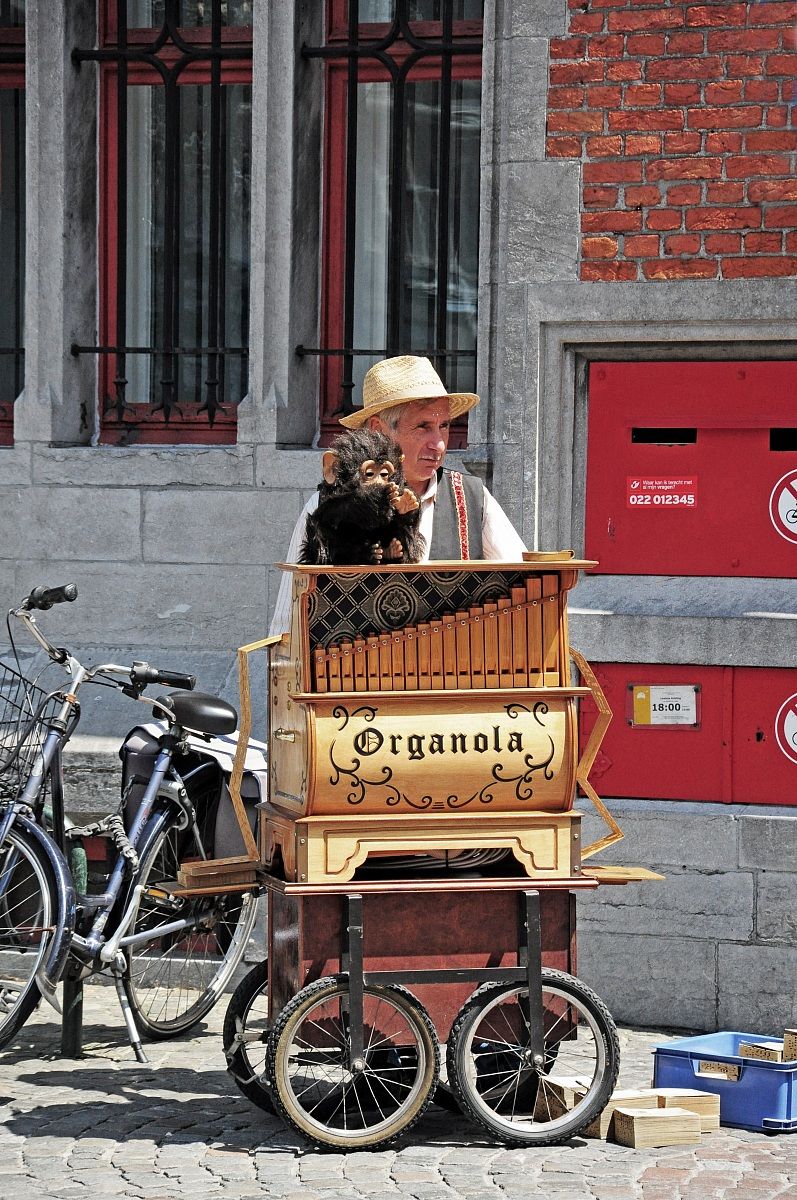 Organola
