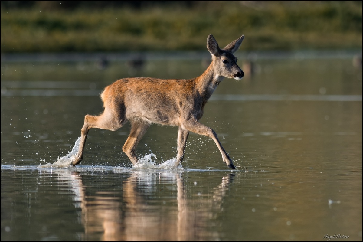 Attraversando La Cona