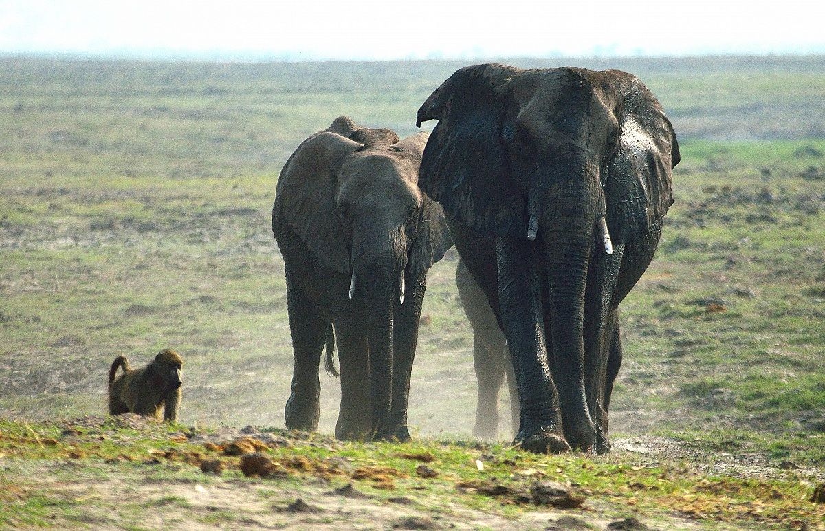 The march toward the water