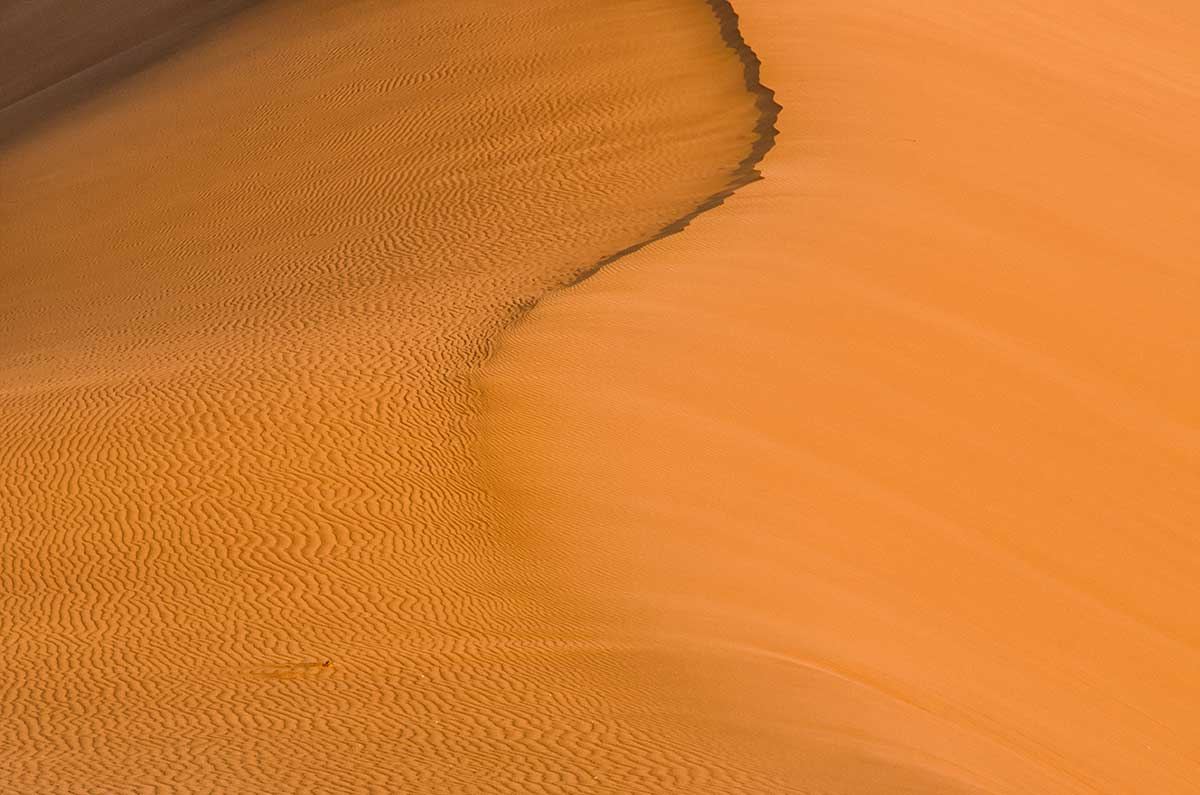 la base della Duna 45