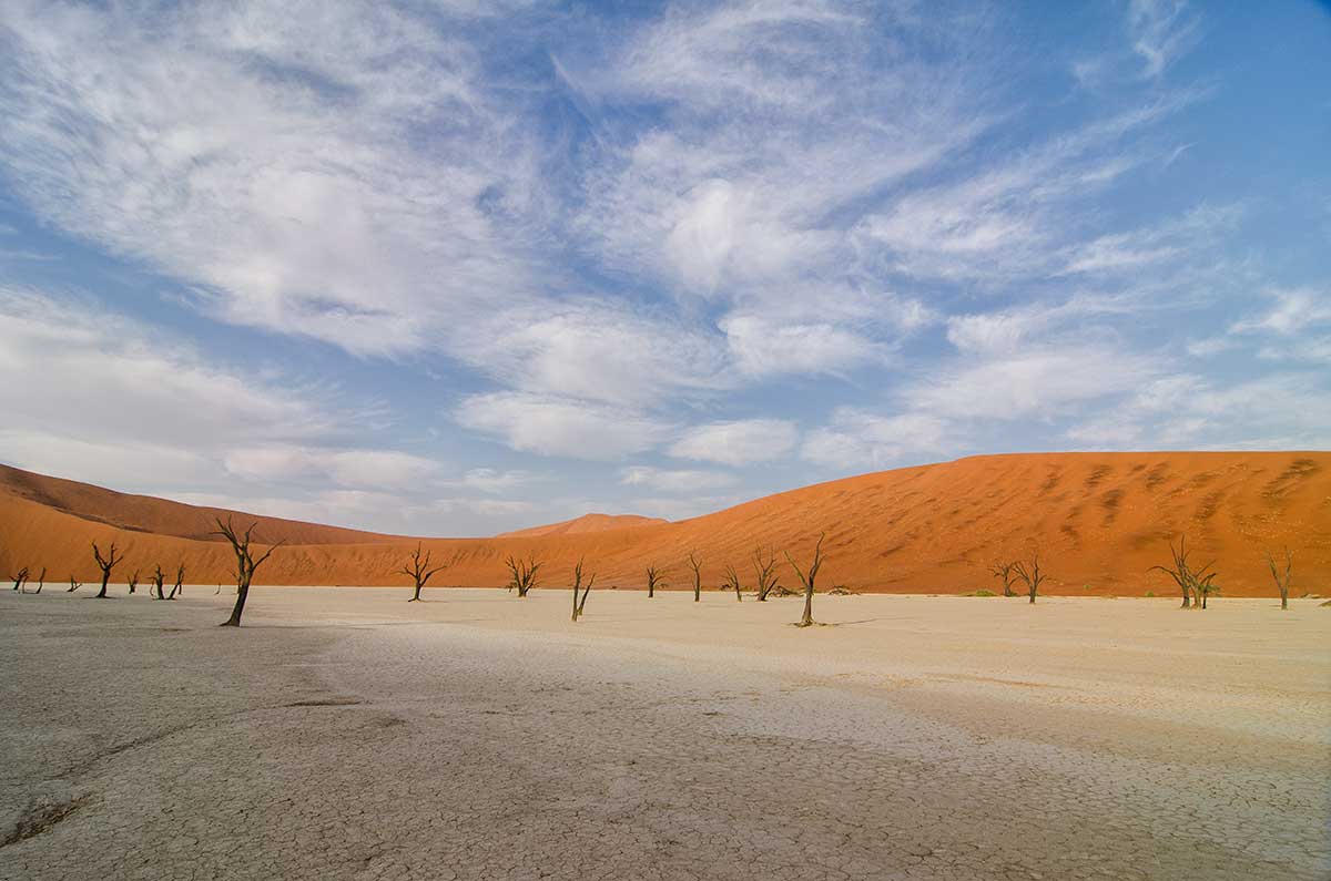 Dead Vlei