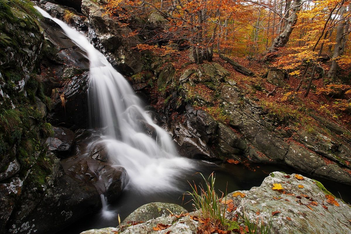 Autumn puts the veil