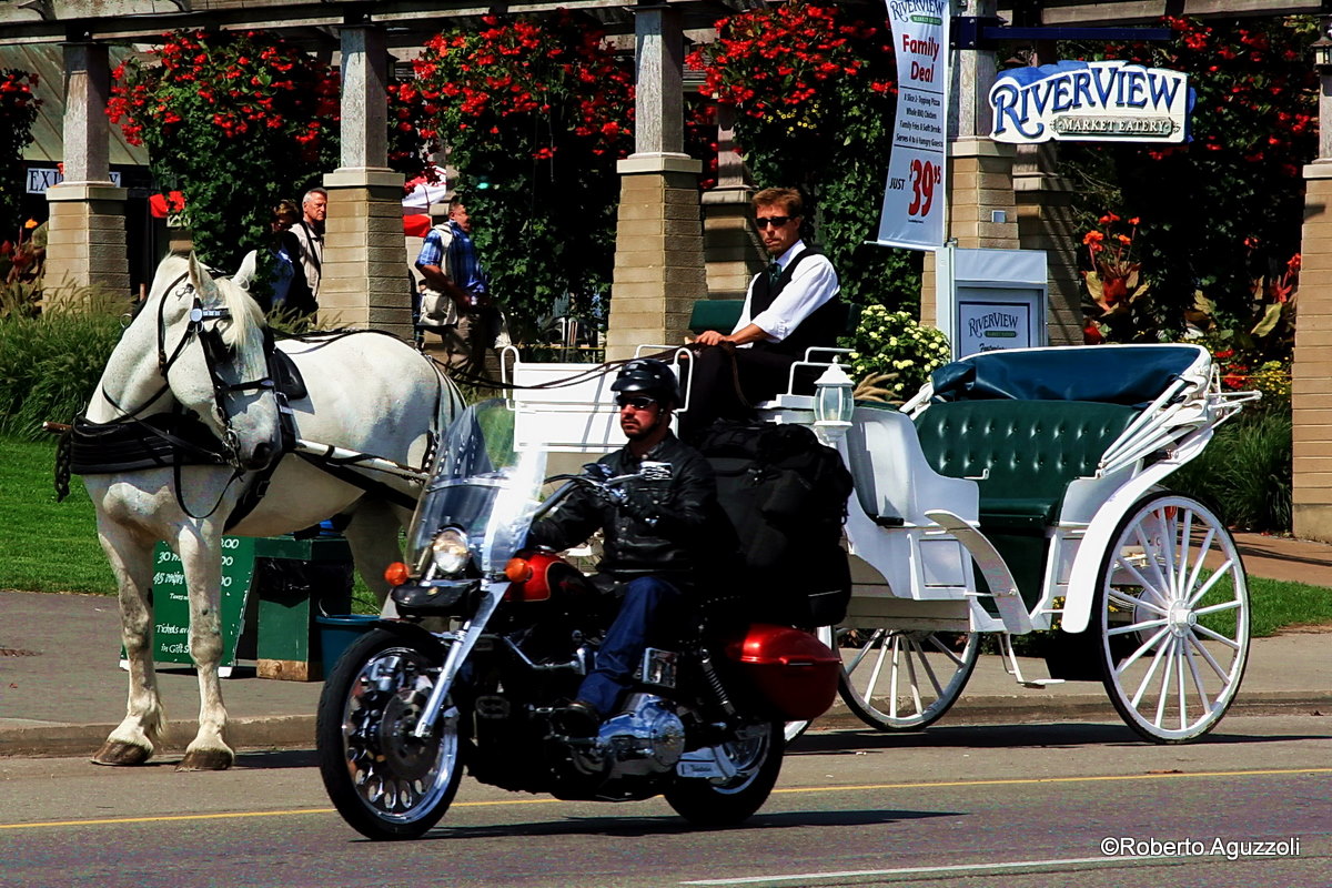 A ciascuno il suo....