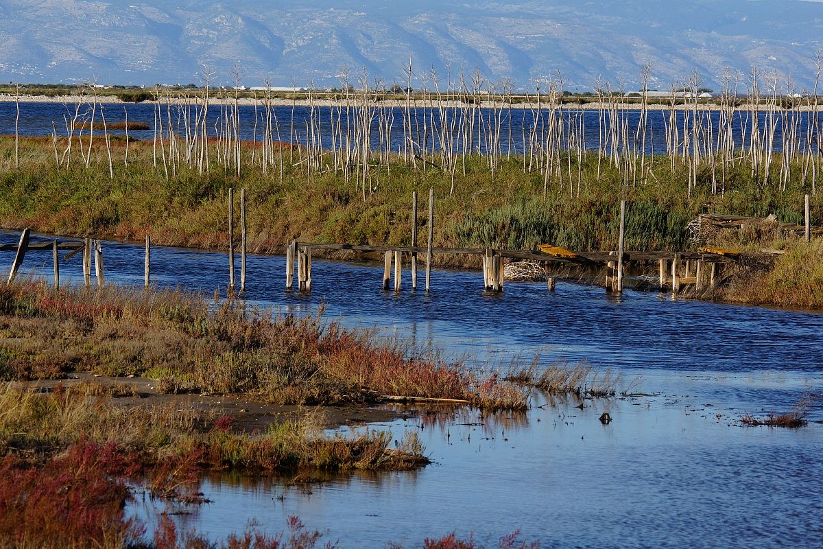 Saline di Margherita di Savoia