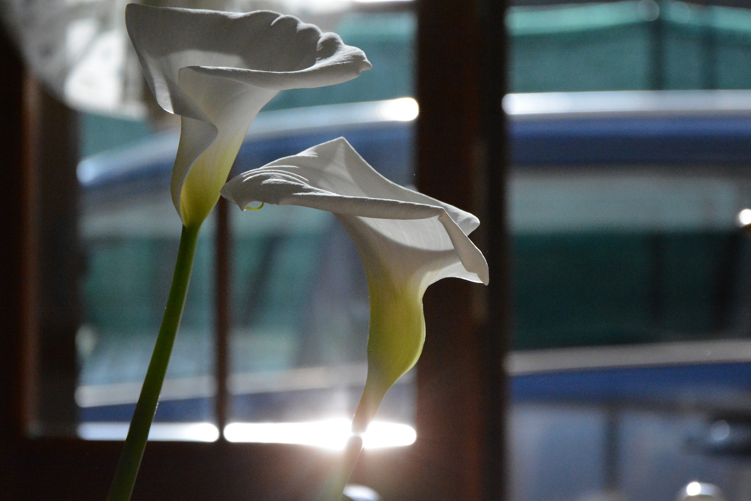 Scatto sbagliato che mi piace lo stesso