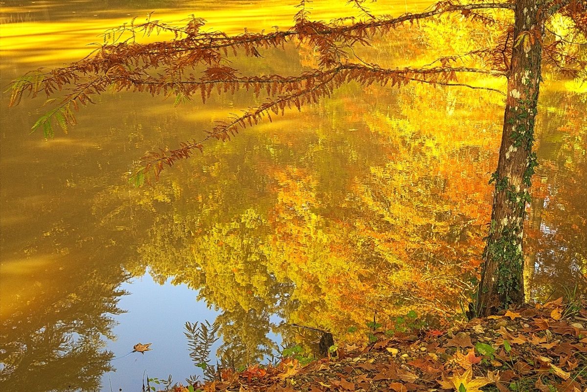 Impressions of Fall III