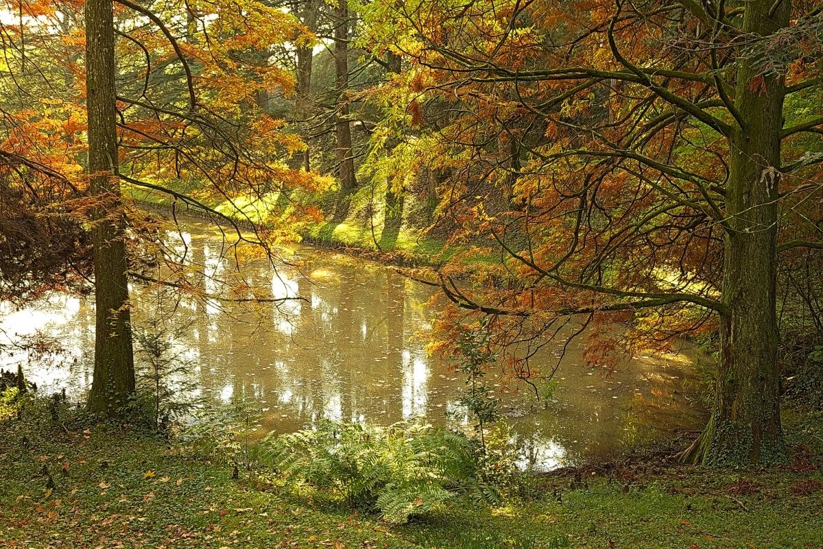 Impressioni d'Autunno IV