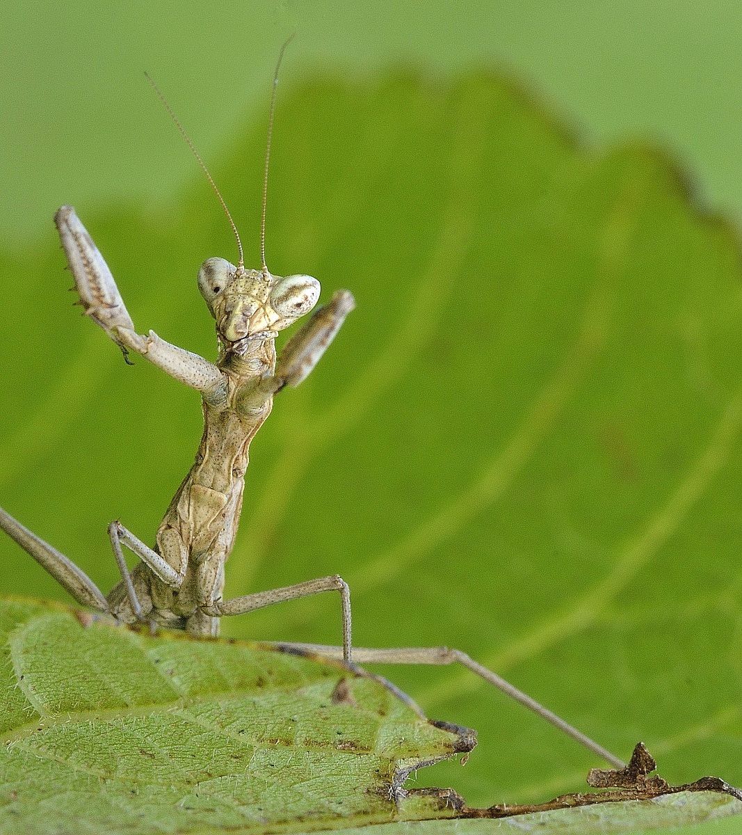 if I do you do a .... so!