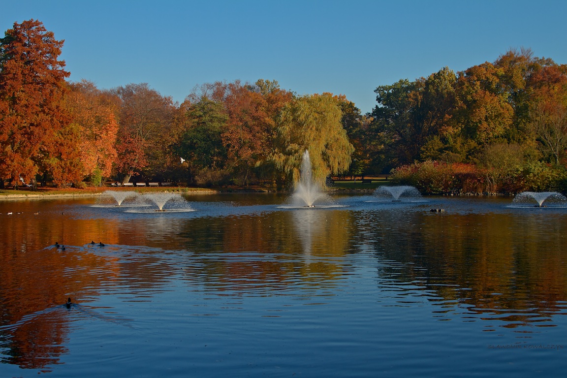 Parco a Wroclaw