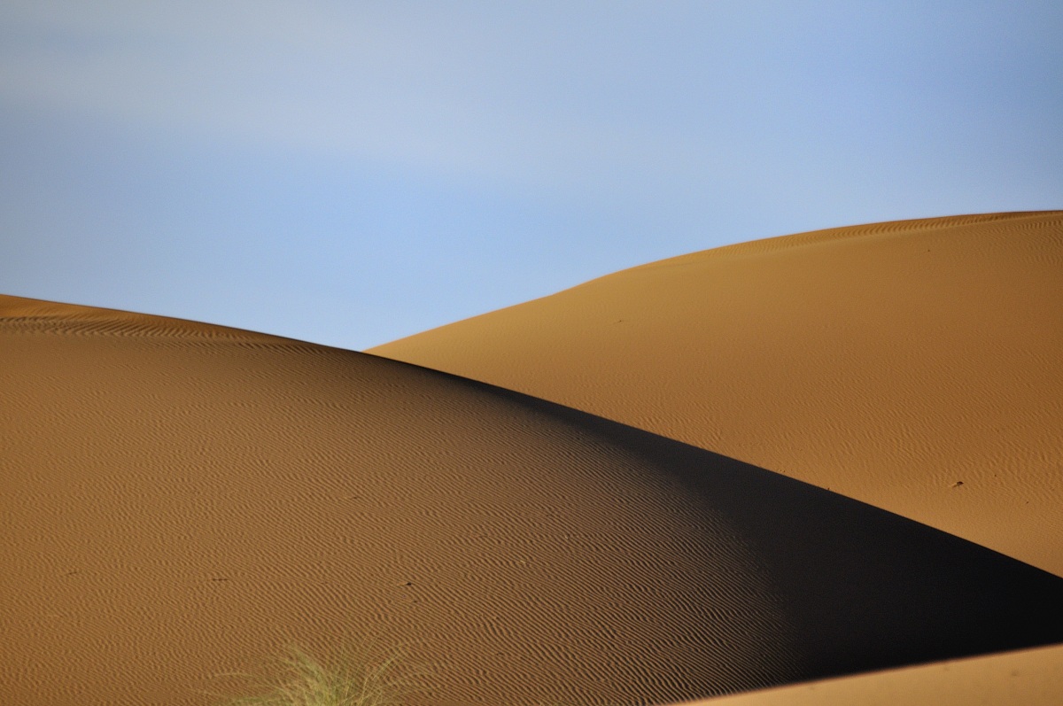 Morbide, tonde, dune