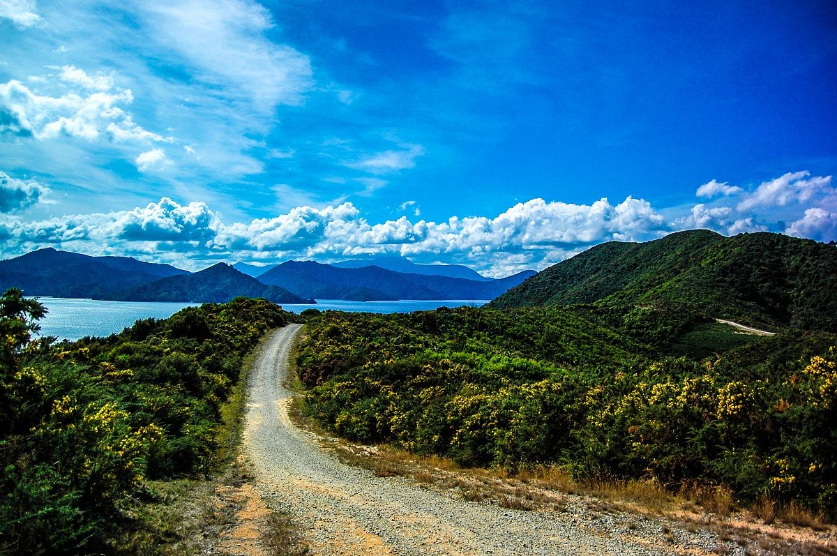 Picton e i suoi fiordi