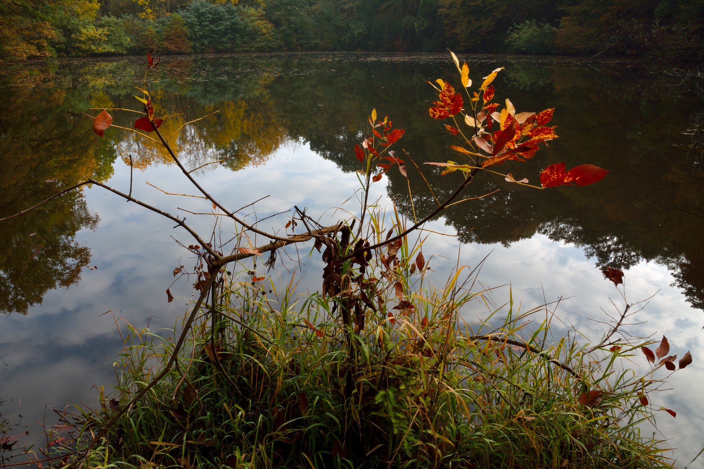 Lago d'autunno