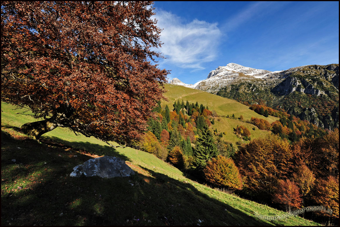 Fall of the valleys Orobiche