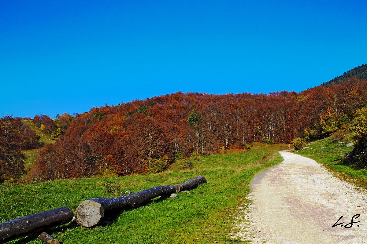 autunno: tutto si colora