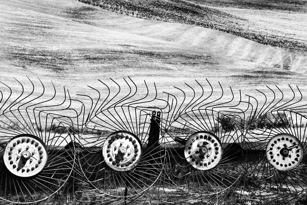 Tuscany, summer 2013