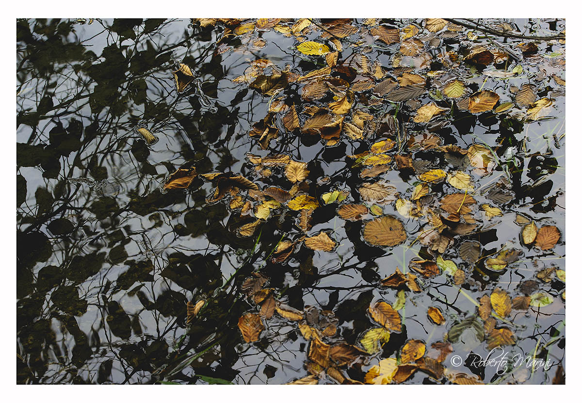 Reflection of the past