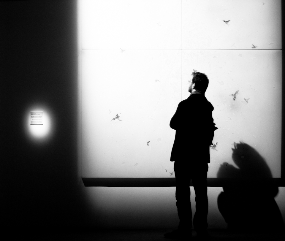 ...e non volevi le ali