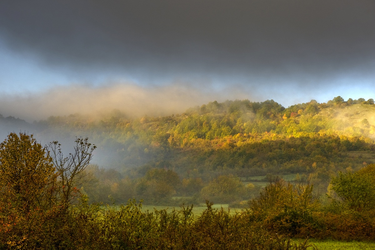 Impressions of autumn