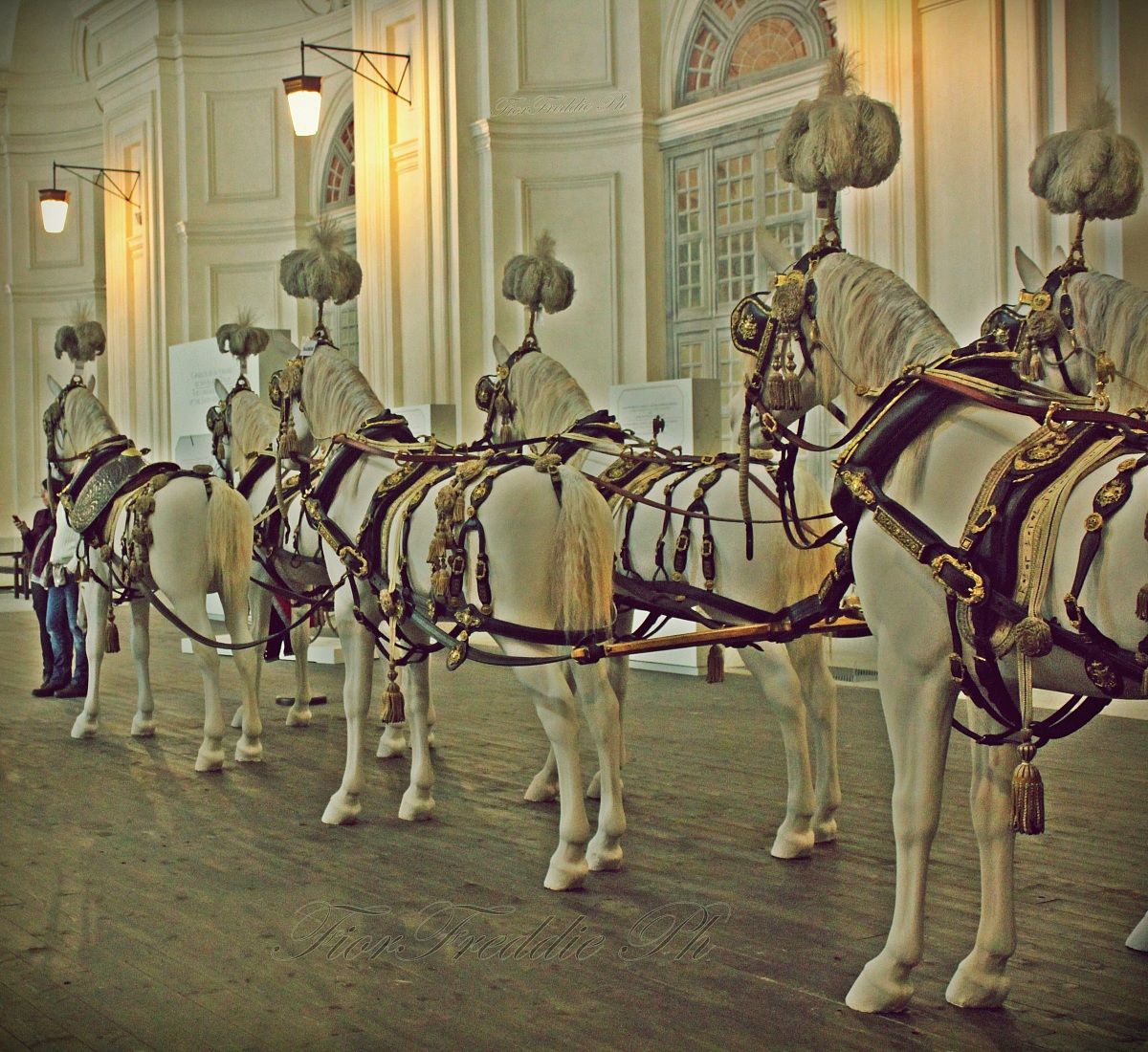 Mostra di carrozze Venaria Reale