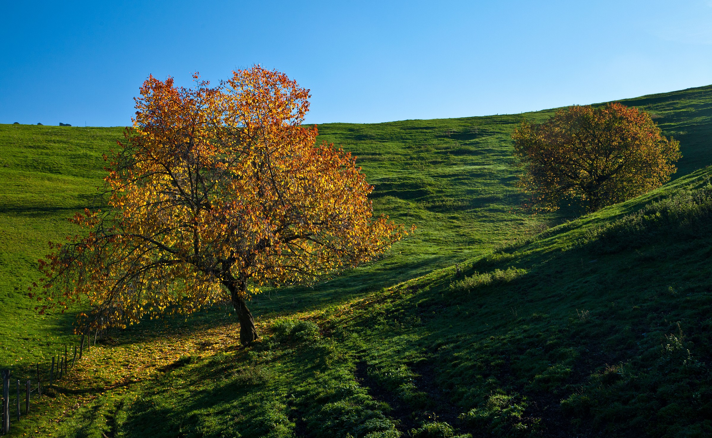 morning Campofontana