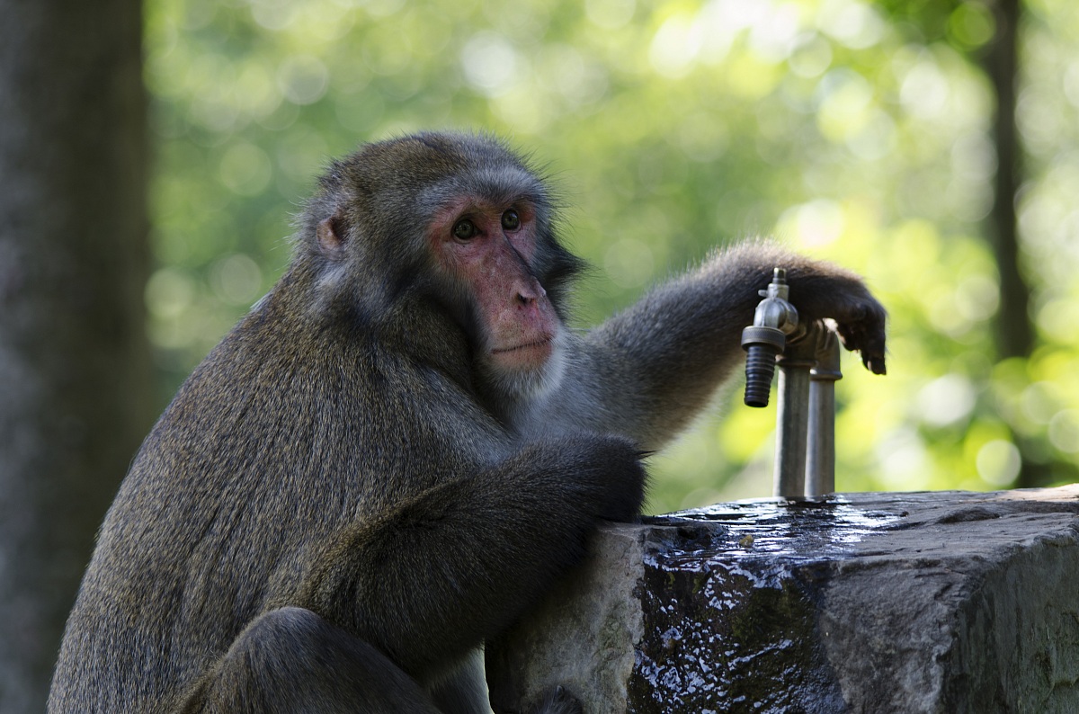 Guai a chi tocca la mia acqua