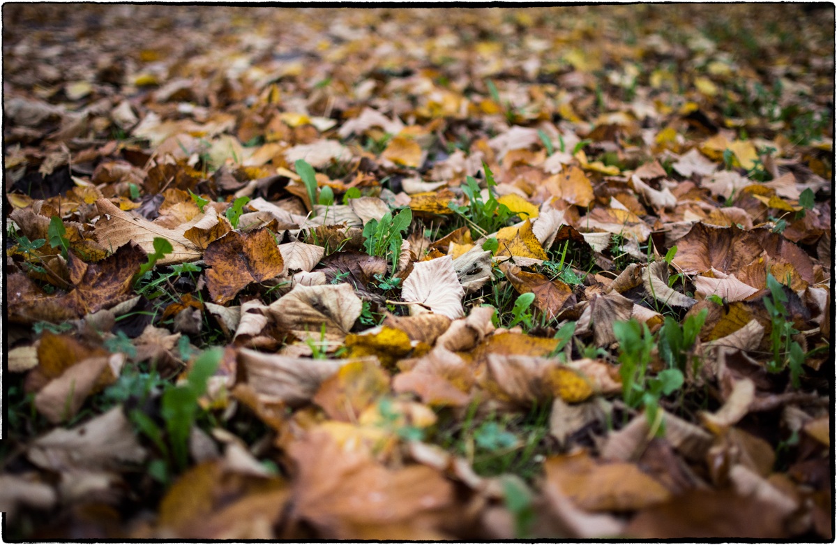 La loro vita per la nostra..